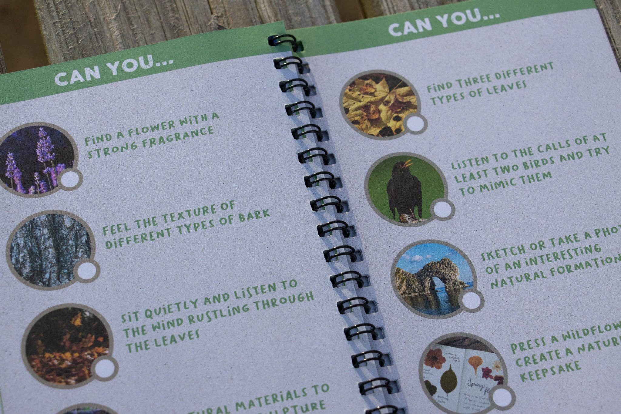 The Wild Spark – wholesale Nature and outdoors – Off The Beaten Track: The Very Wild Scavenger Quest7