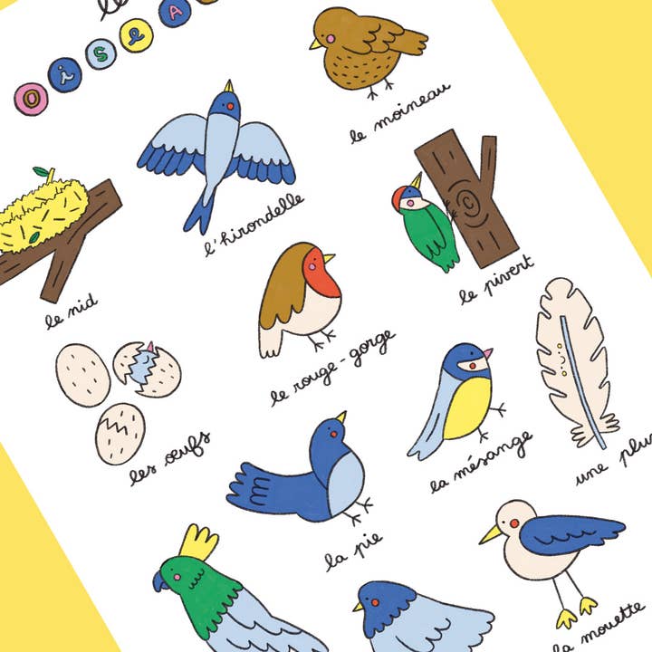 Imagier des oiseaux pour la vente par Marylou Chalon