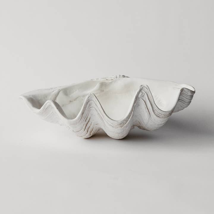 South Pacific Clam Shell for wholesale by House Parts, Inc.