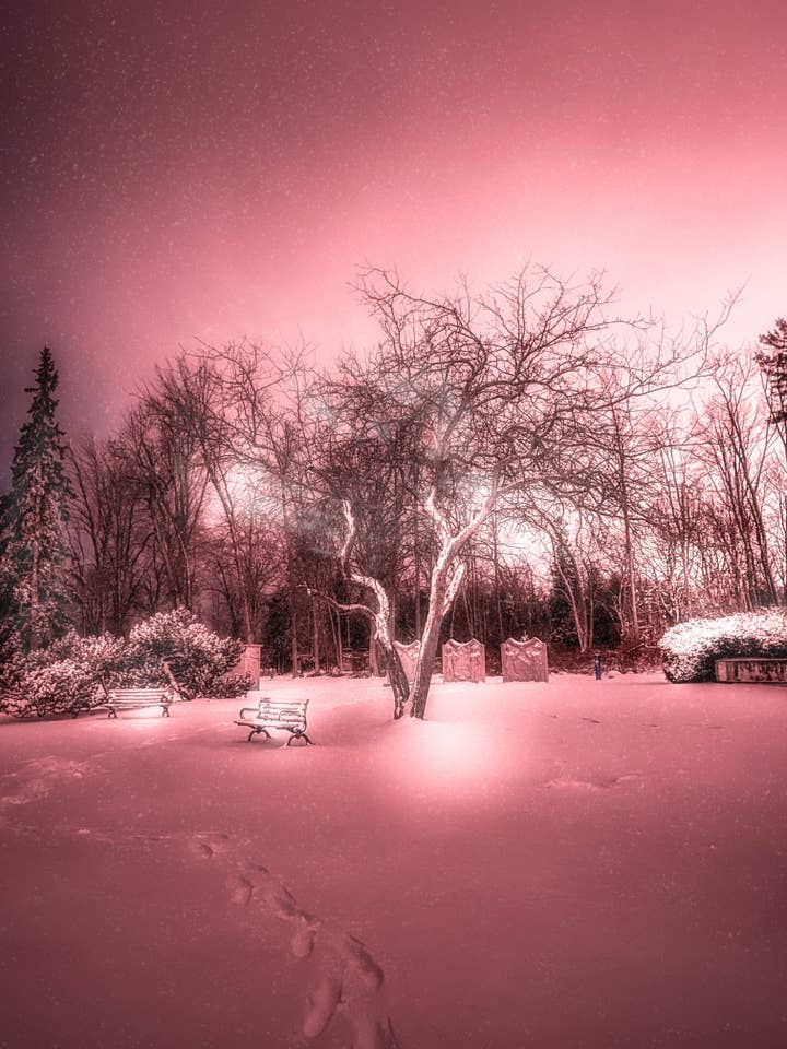 Toronto affisch - drömmande vinterunderland på Guildwood Gardens för wholesale av Posters & Puzzles