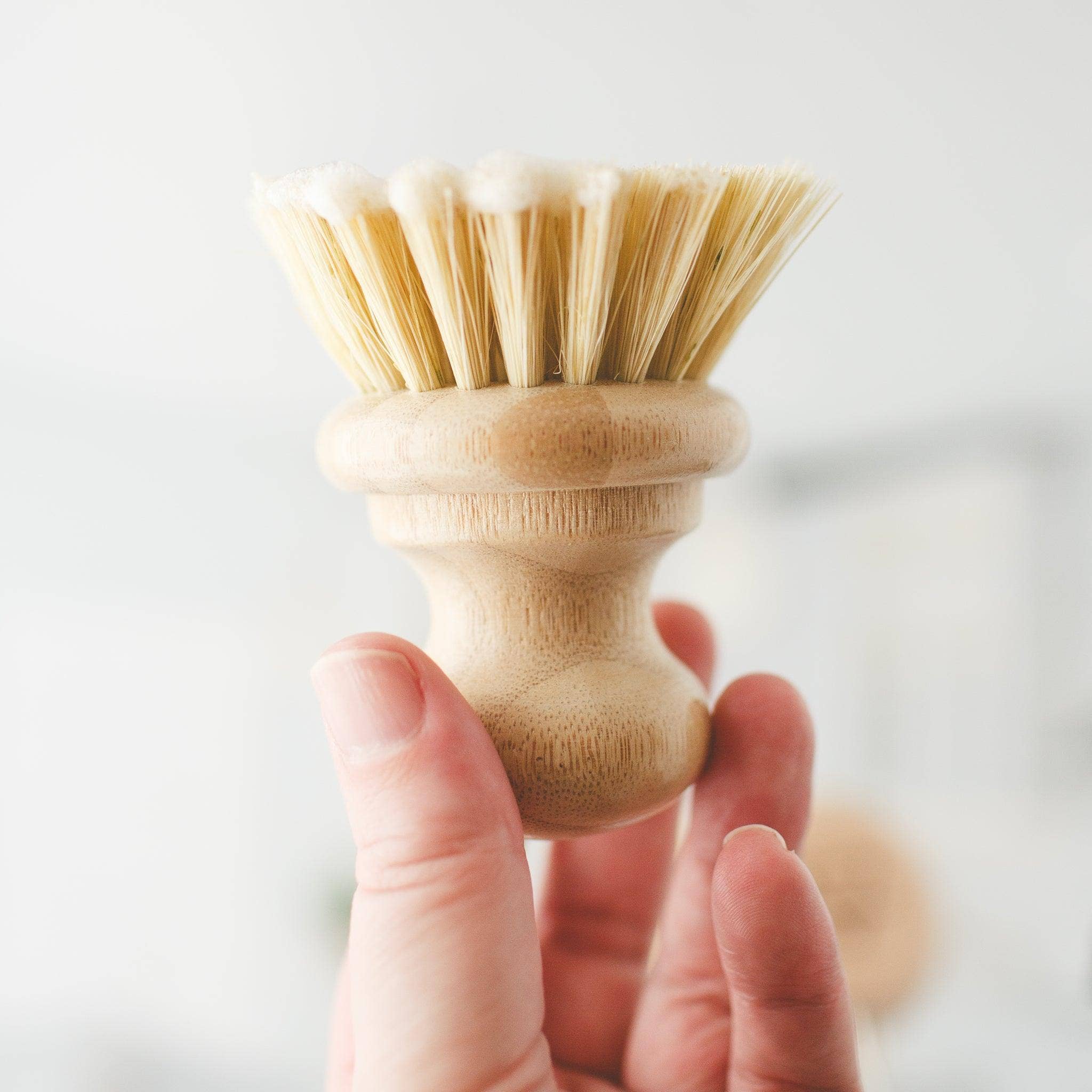 Simple Alchemy Co - Wholesale Cleaning Brush - Compostable Dish Brush4