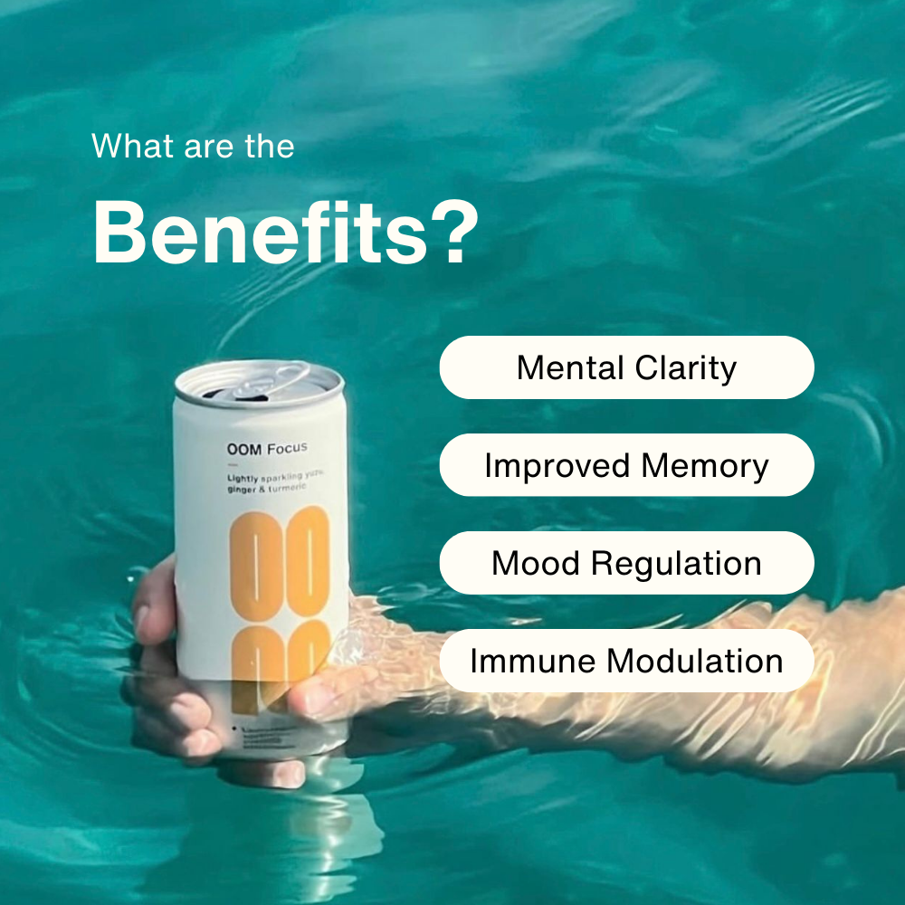 Oom Drinks Ltd - Wholesale Sports/Energy Drink - OOM Focus (12 Pack)1