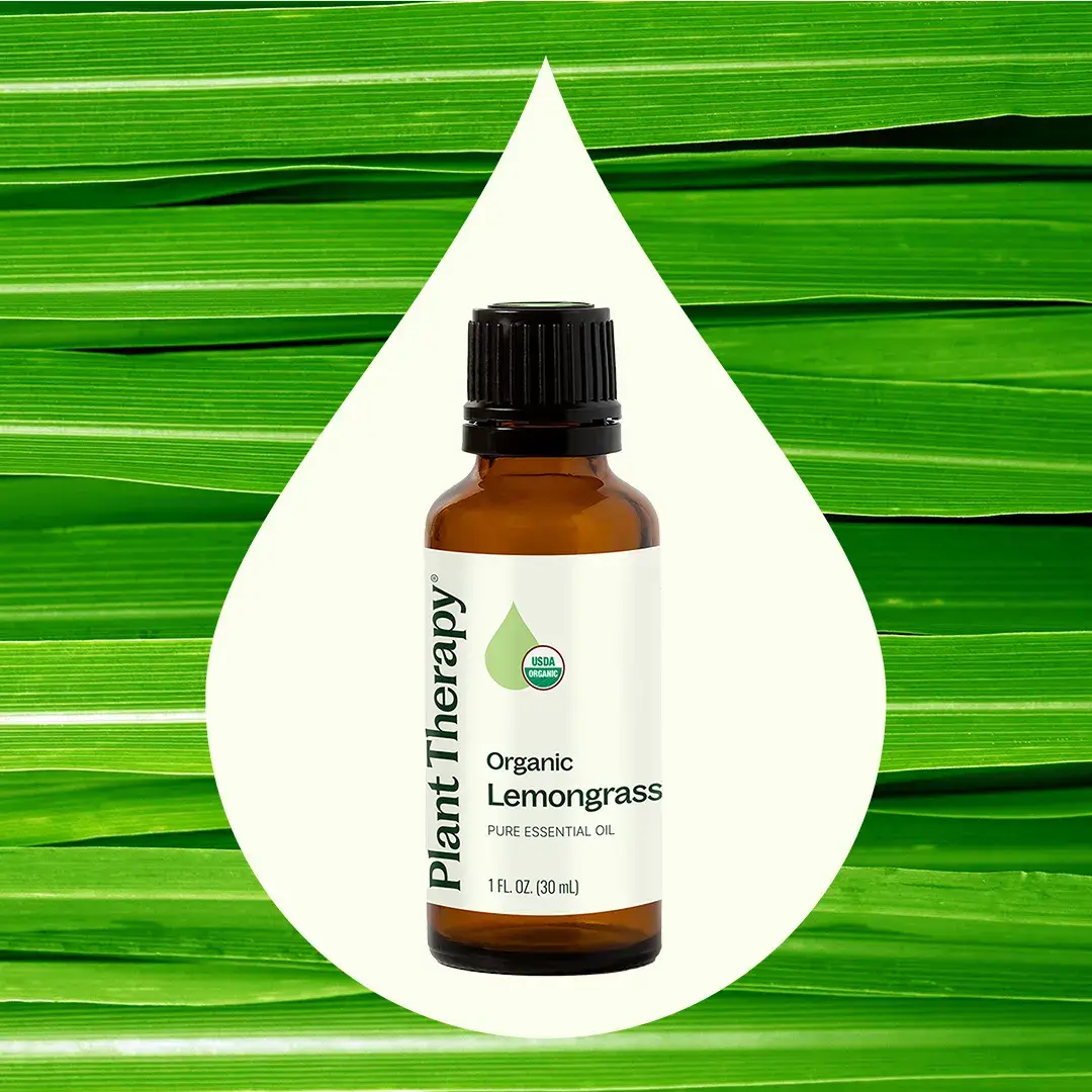 Plant Therapy - Wholesale Essential Oil - Organic Lemongrass Essential Oil 30mL2