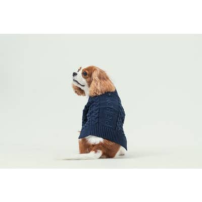 PEHOM - Wholesale Hondentrui - Hond - Vest met kraag voor huisdieren4