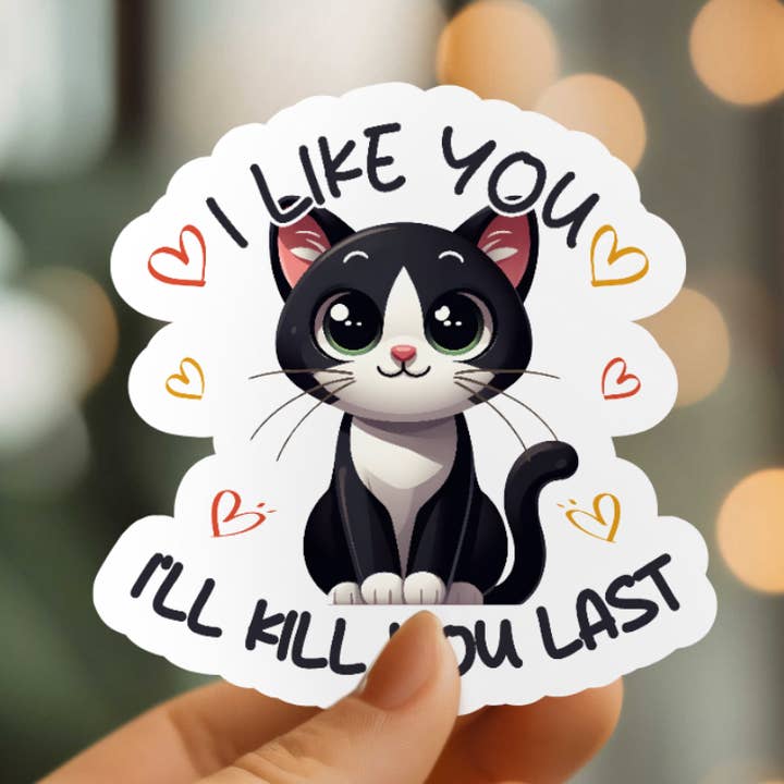 Autocollant en vinyle Funny I Like You pour la vente par Mystical Monkey Toes