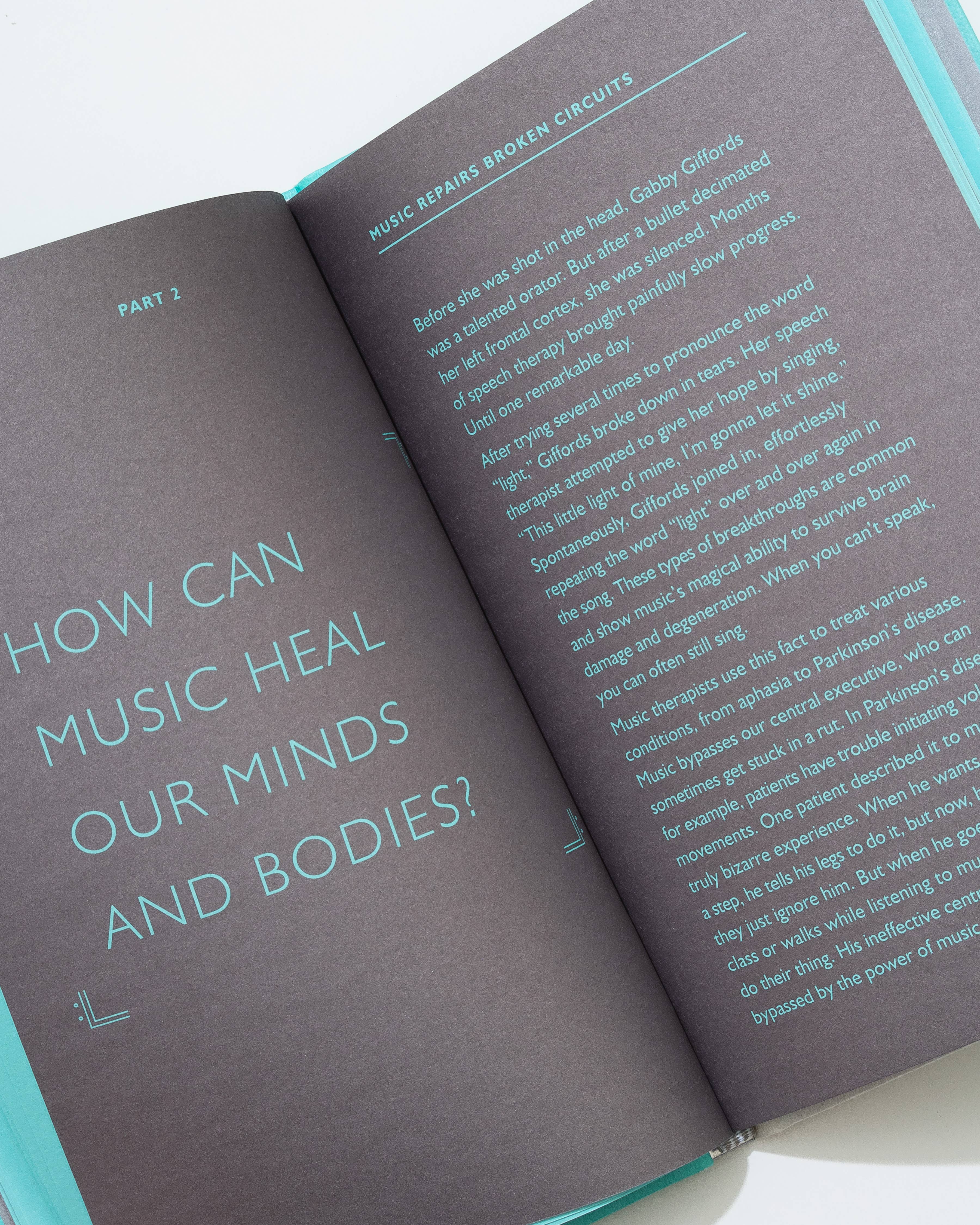 Chronicle Books - Wholesale Human & Cultural Studies - How Music Can Make You Better9