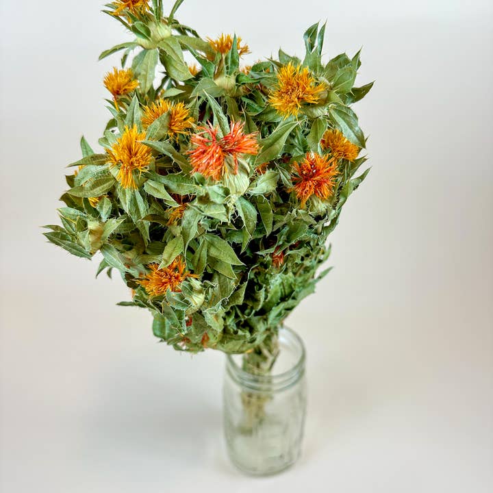 Lovejoy Farms Premium Dried Flowers - Wholesale Dried/Pressed Flowers - Autumn Safflower – Naturally Dried Flowers0