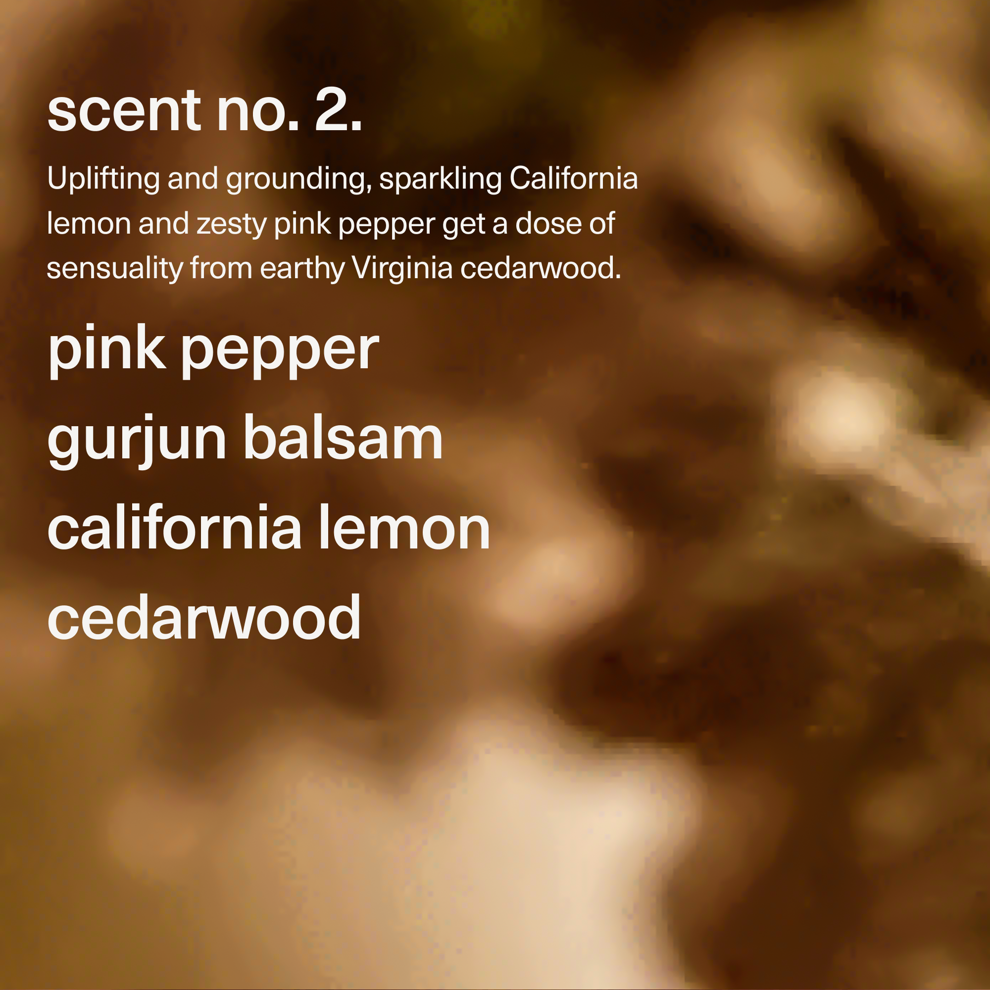 maude - Wholesale Jar/filled candle - Burn no. 2 - massage candle, pink pepper, lemon, cedarwood. 3