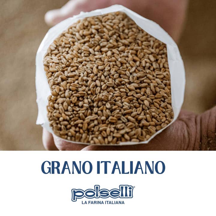 Wholesale Italian Food - Wholesale Flour - Polselli, Organic Flour, Type "00", 100% Italian Grain, 11 lbs (5 kg), Neapolitan Italian Pizza