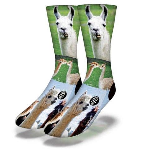 Savvy Sox – wholesale Socks – Unisex – WHOLE LLAMA LOVE Funny Animal Socks0