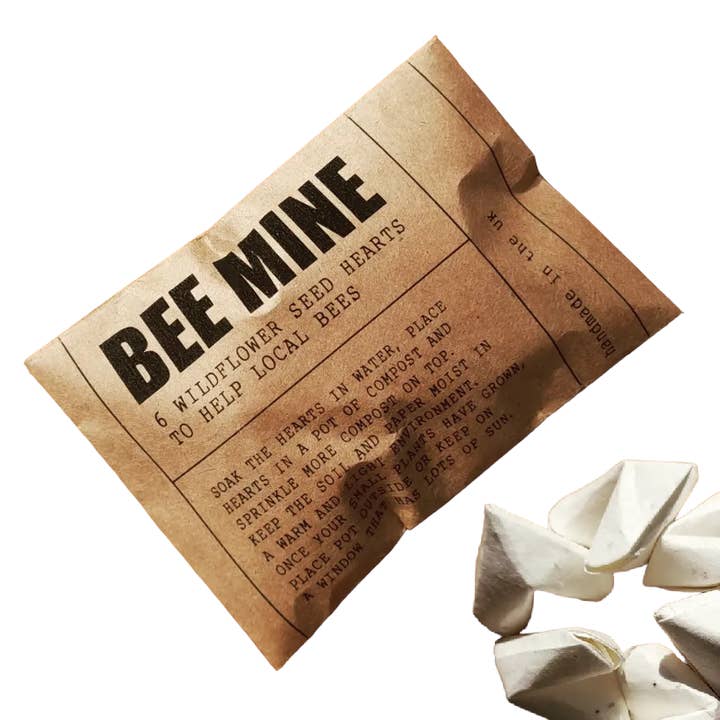 DSB Gifts – wholesale Party gift – Wildflower seed origami heart 'bee mine' envelope6