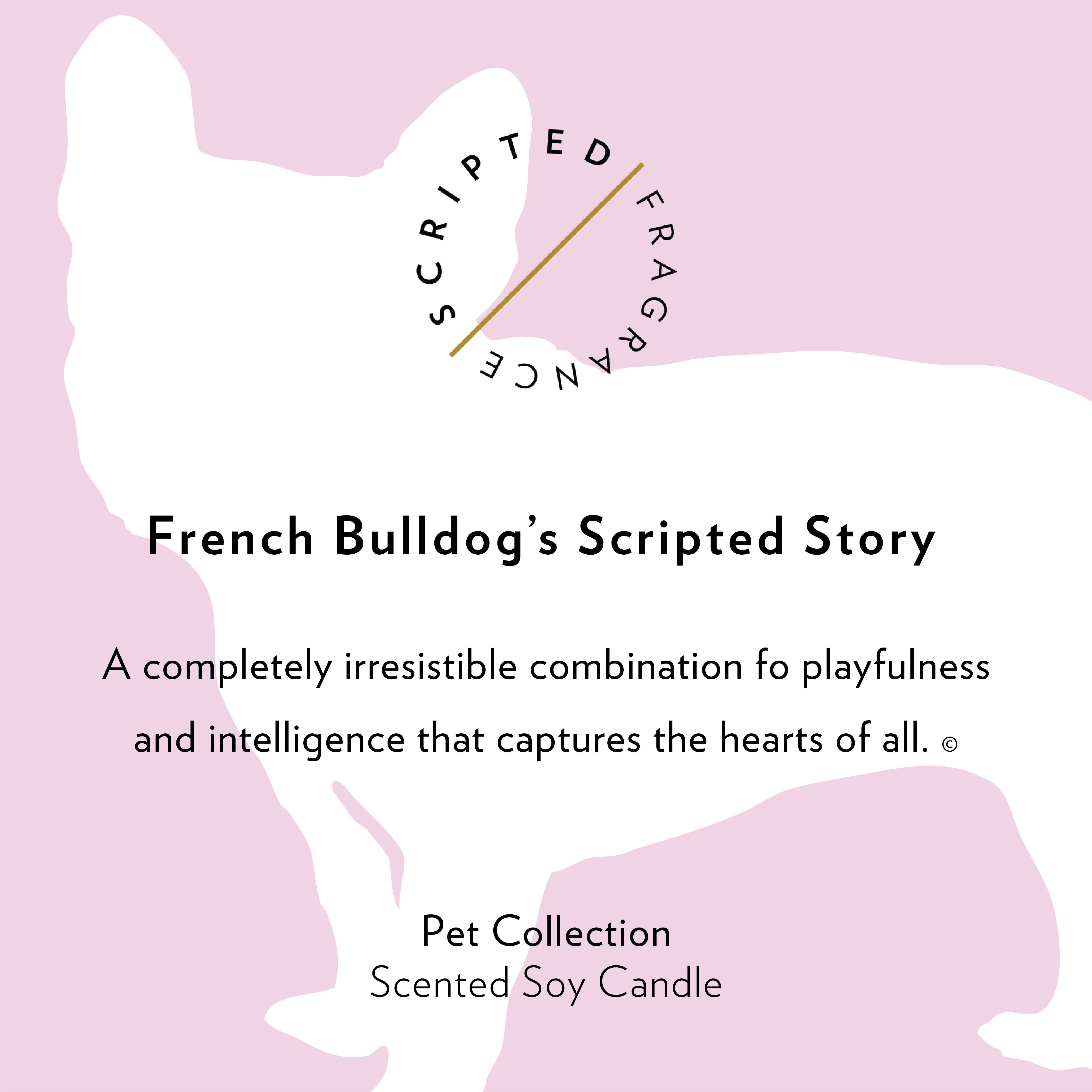 Scripted Fragrance - Wholesale Jar/Filled Candle - French Bulldog Soy Candle in Drinking Glass Two-In-One Gift8