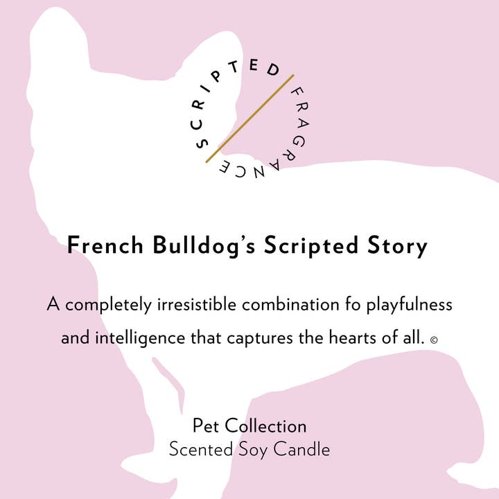 Scripted Fragrance - Wholesale Jar/Filled Candle - French Bulldog Soy Candle in Drinking Glass Two-In-One Gift8