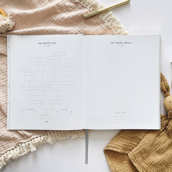 Blush And Gold - Wholesale Diary – Maternity - Pregnancy Journal (Grey) expectant mum + parents to be gift12