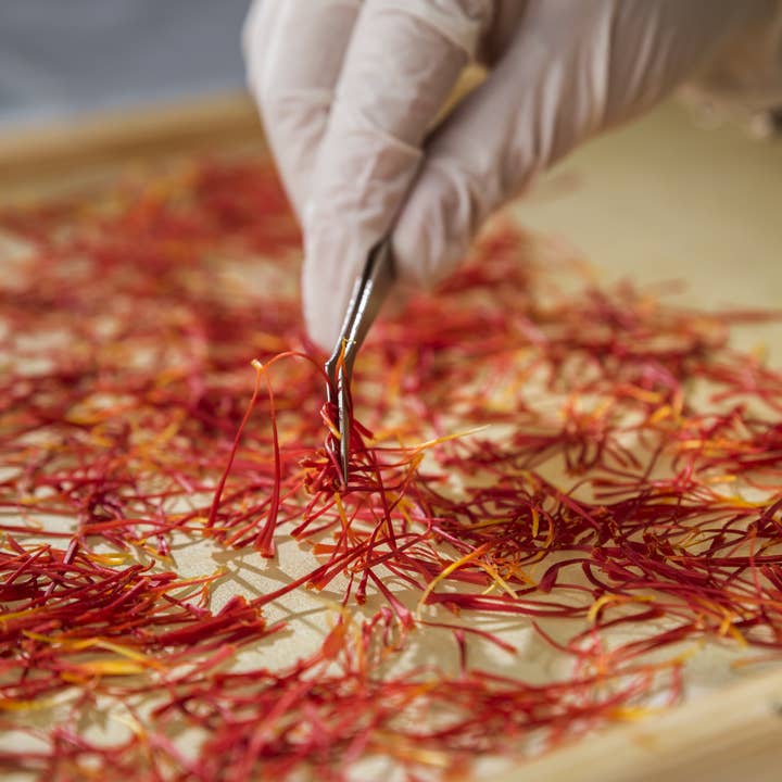 Homa Saffron - Wholesale Dried Spice - Premium Saffron - Super Negin - class 14