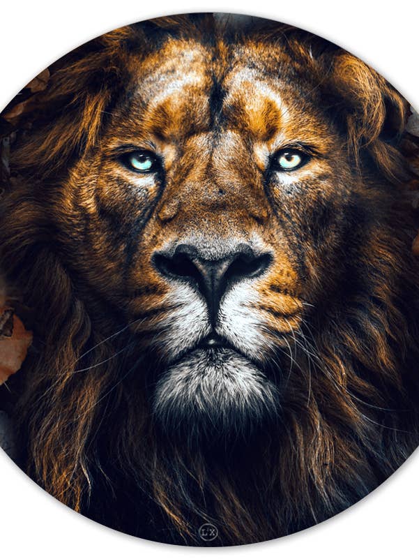 Muurcirkel L2X feuilles de lion pour la vente par Label2X B.V.