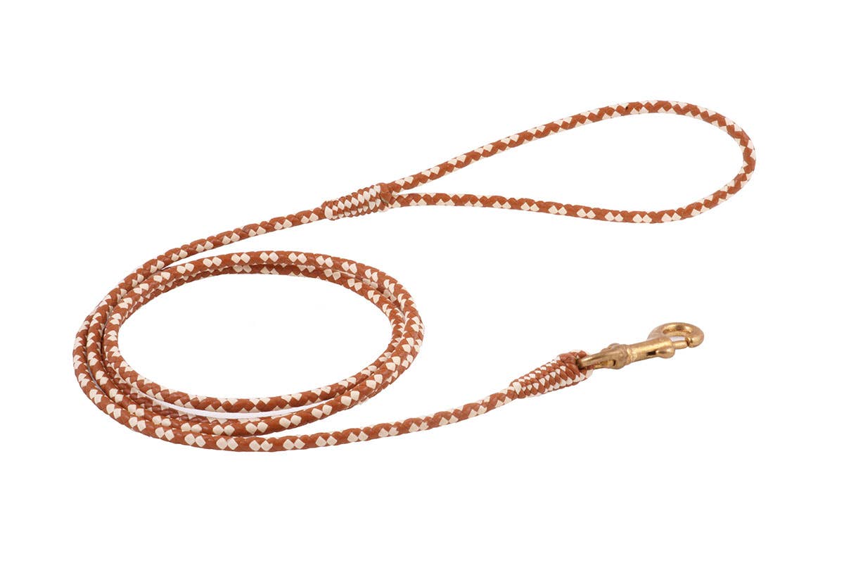 Alvalley - Wholesale Pet Leash - Dog - Braided Leather Snap Leads106