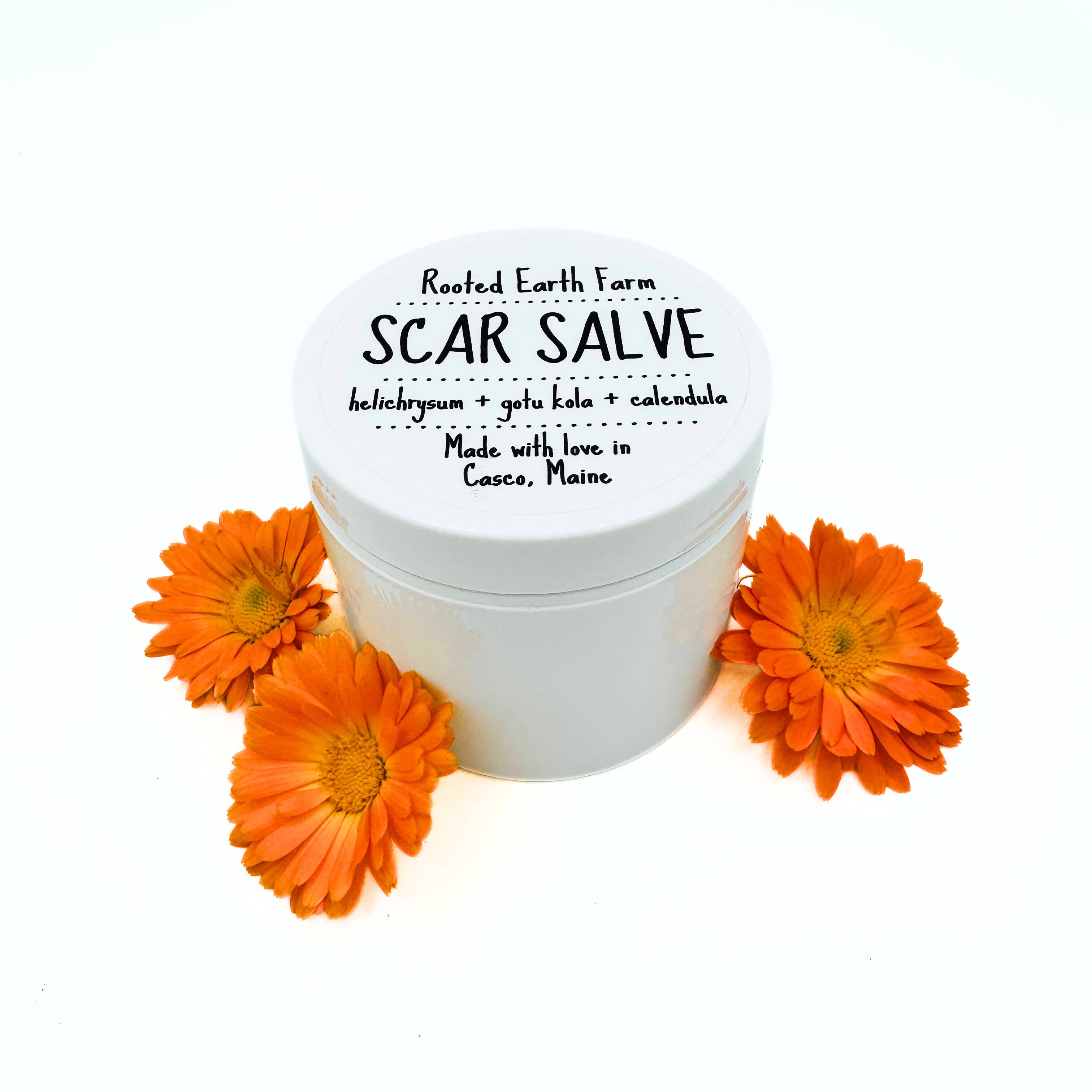 Rooted Earth Farm + Apothecary - Wholesale Healing Salve/Balm/Cream - Scar Salve - 3 Size Options2