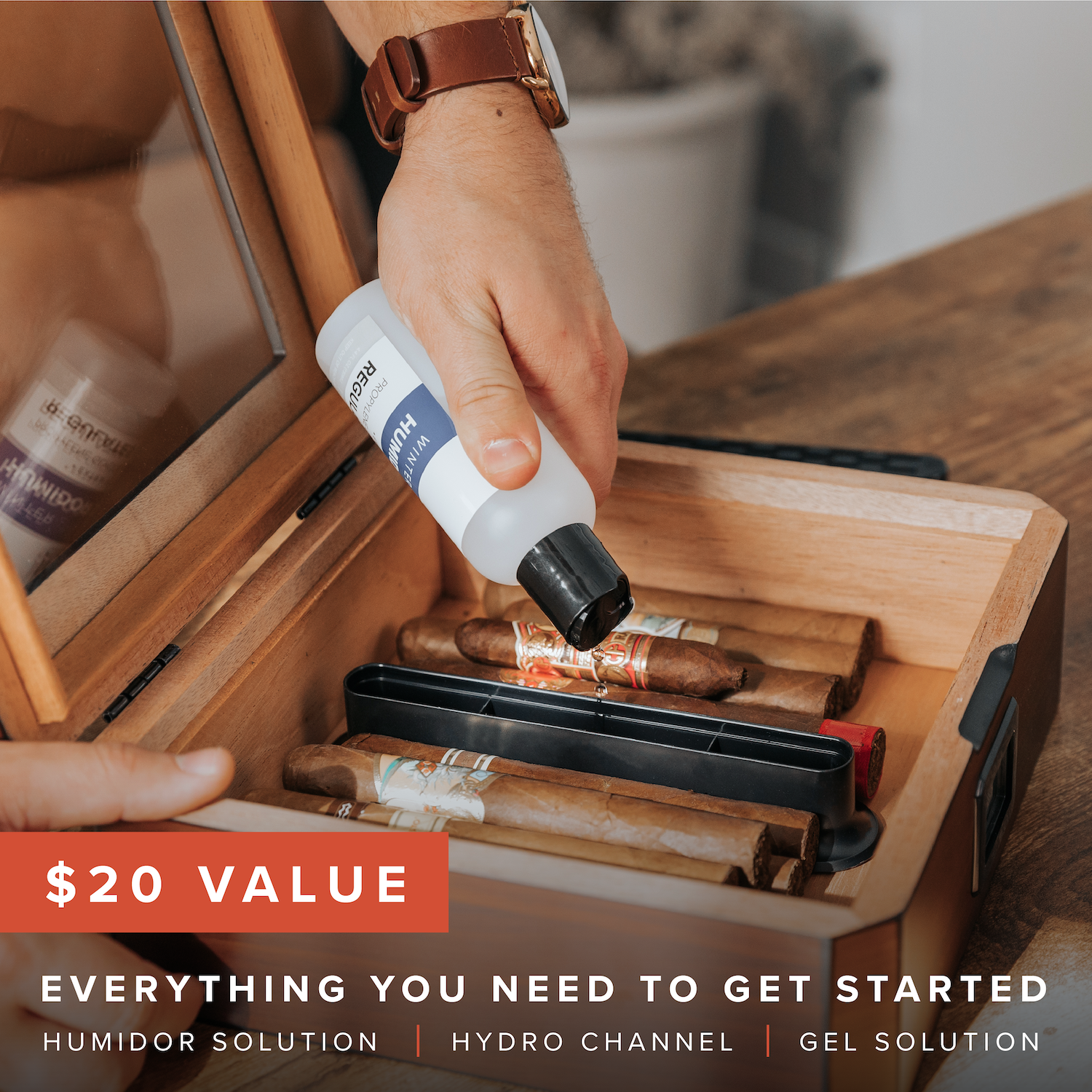 Case Elegance – Großhandel Humidor/Zigarrenzubehör – MAG Humidor mit Walnuss-Finish4