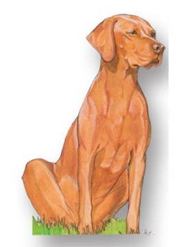 Vizsla - Imán de madera para venta al por mayor de Pipsqueak Productions
