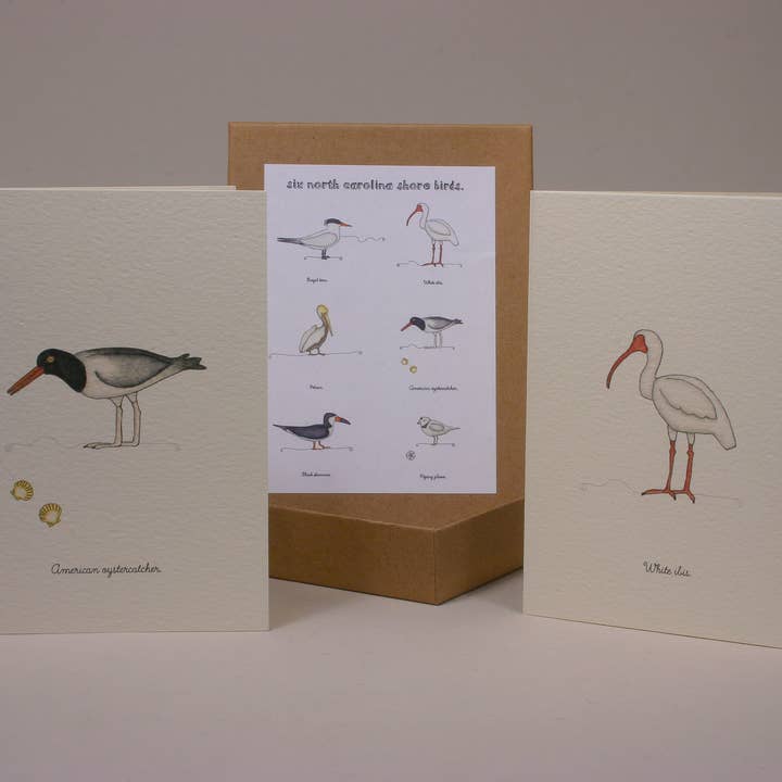 Shore Birds of North Carolina wenskaartenset voor wholesale door Beth Mueller