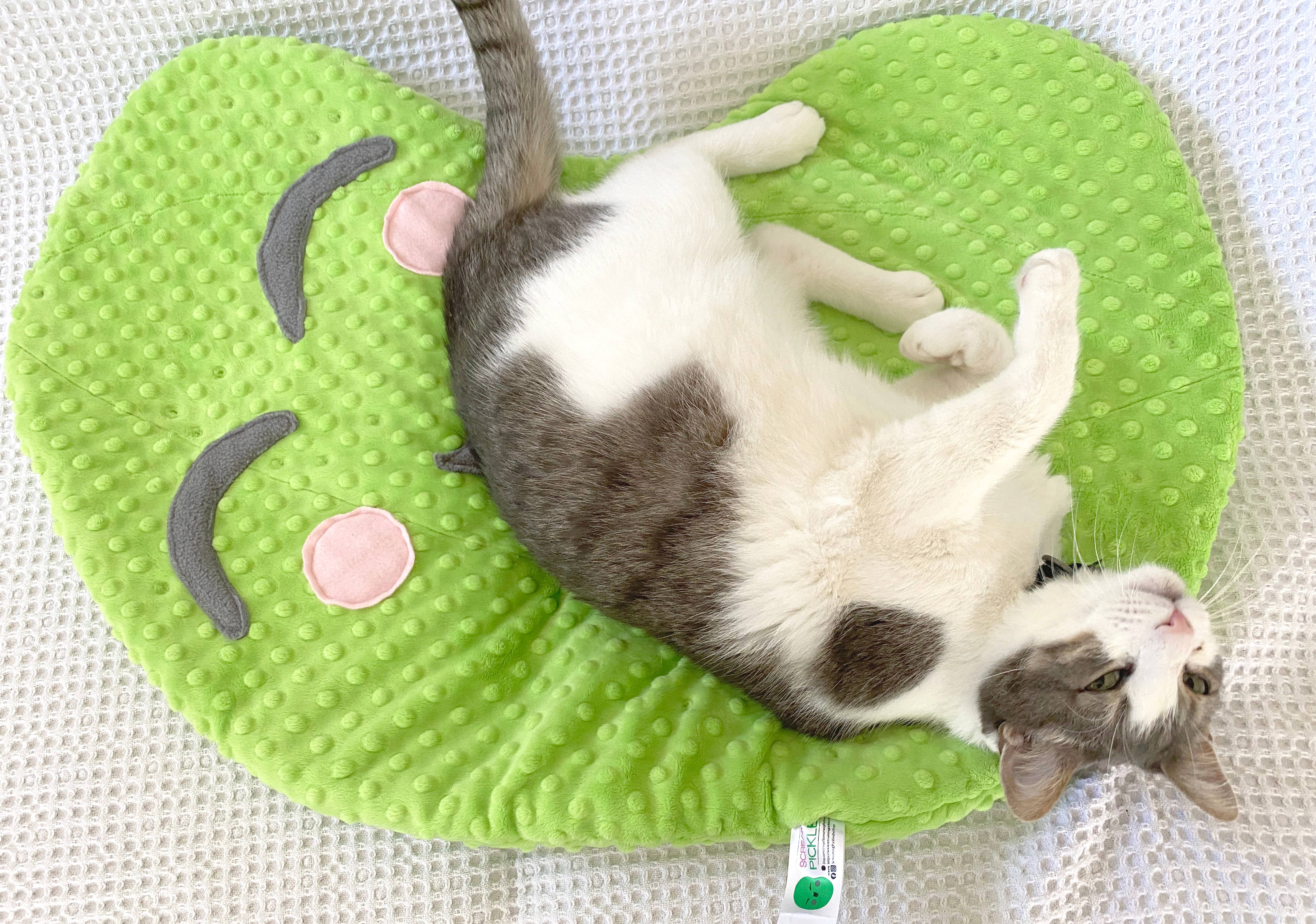 Screaming Pickles – cama - Gato e cão por atacado – Cama de Pelúcia em Forma de Picles Feita à Mão para Gatos e Cães Pequenos10