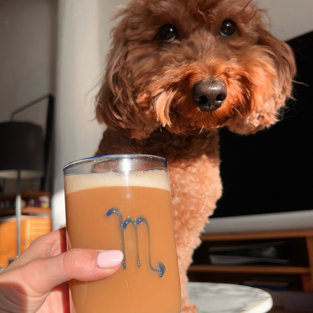 Blue Scorpio Lowball Glass for wholesale on Faire2