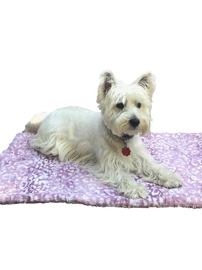 Couverture, sureau ocelot pour la vente par The Dog Squad