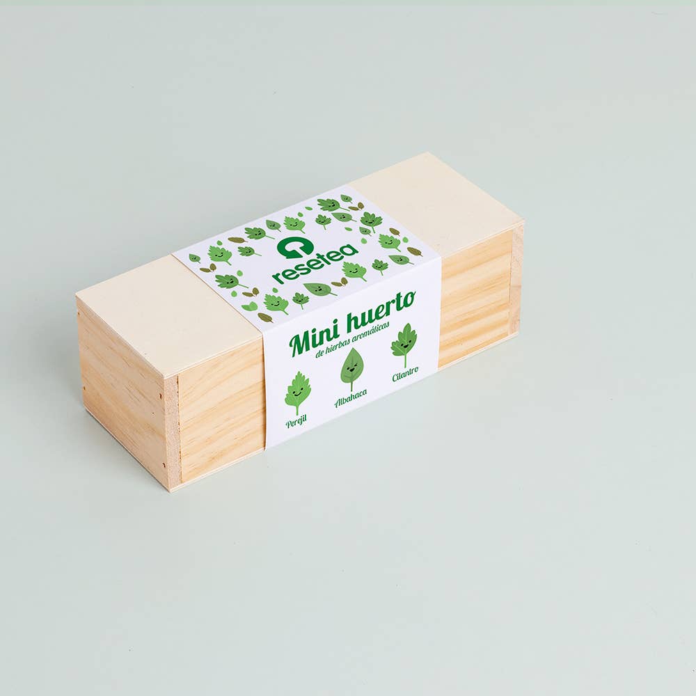 Resetea - Wholesale Plant Seeds - Mini Herb Garden🌿6