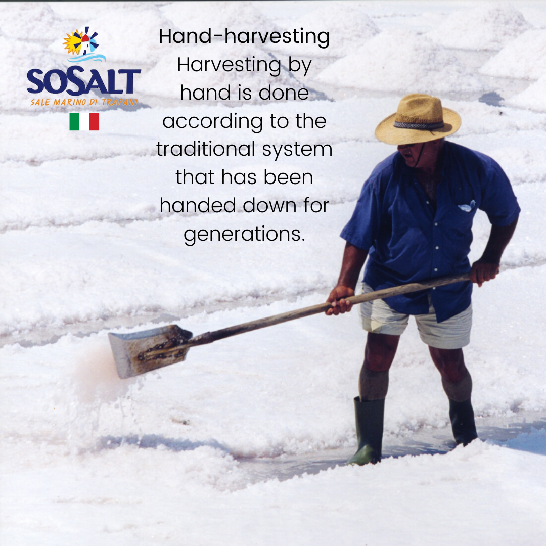 Wholesale Italian Food - Wholesale Salt - Kosher Certified Coarse Sea Salt from Sicily, 3 lb (1.36 kg) Mediterranean Sea Salt, Kosher Sea Salt.2