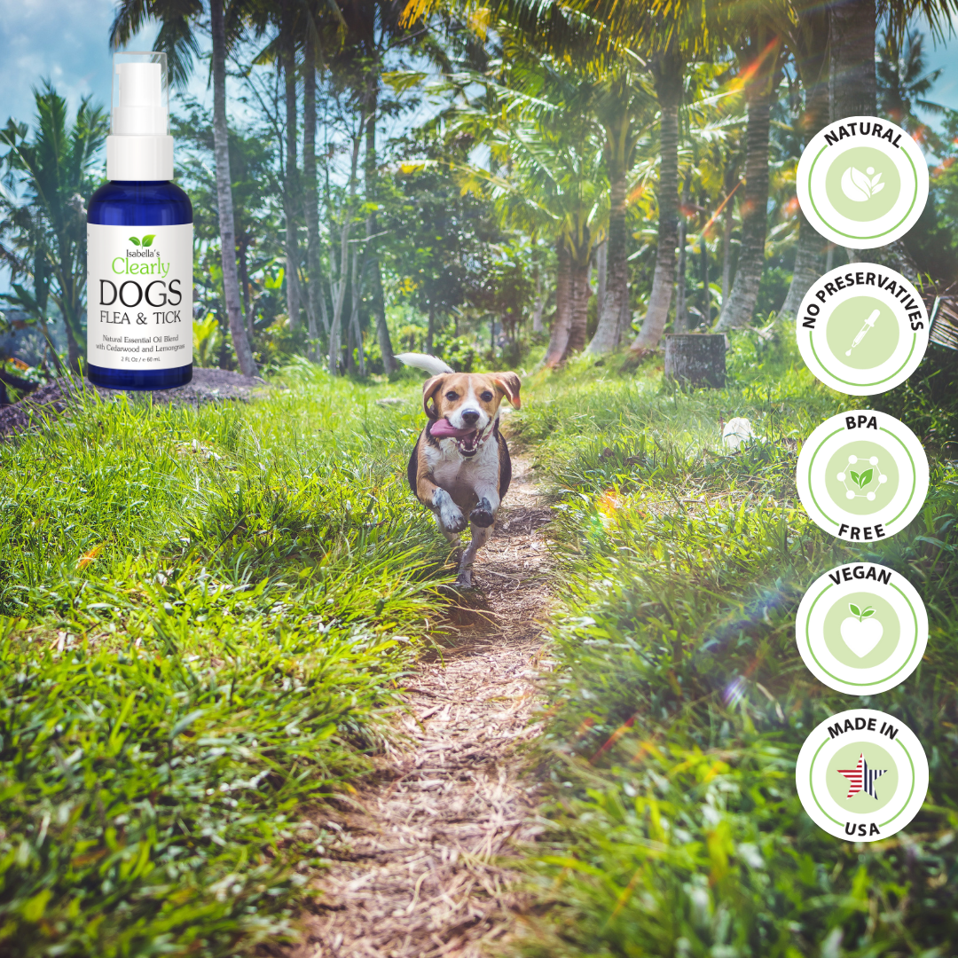 Isabella's Clearly - Wholesale Pet Spray - Dog - FLEA and TICK Essential Oil Blend for Dogs5