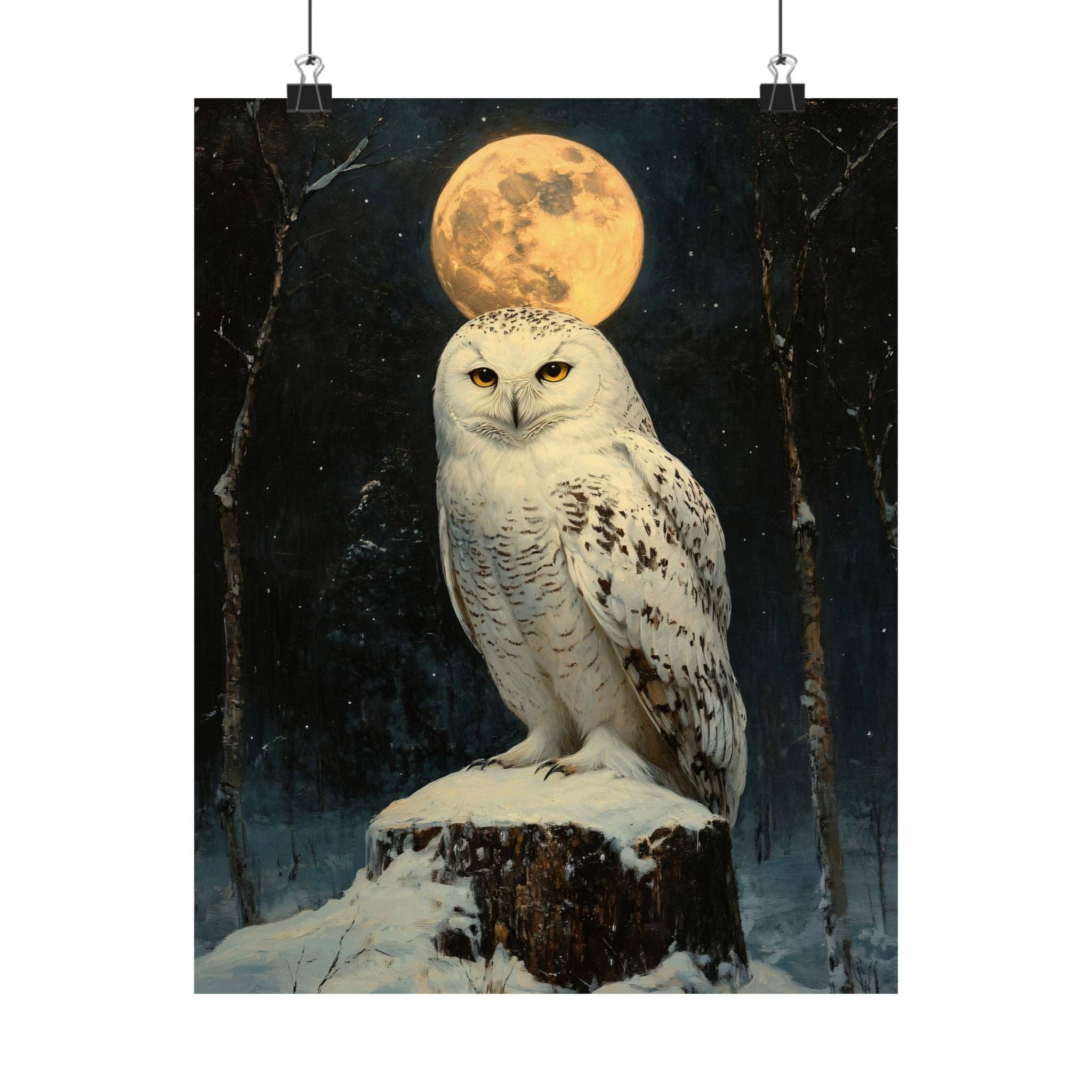 Ye Curiosity Shoppe - Wholesale Art Print - Arctic Owl Art Print0