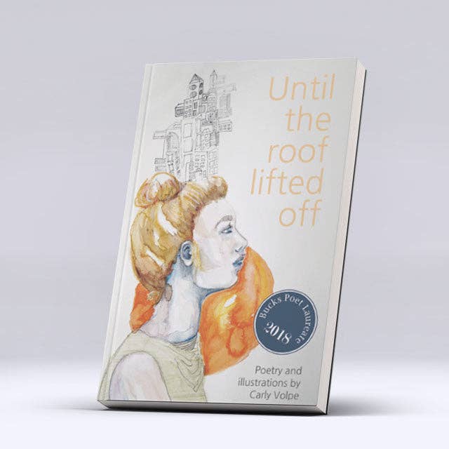 Jusqu'à ce que le toit se soulève pour la vente par Read Furiously LLC