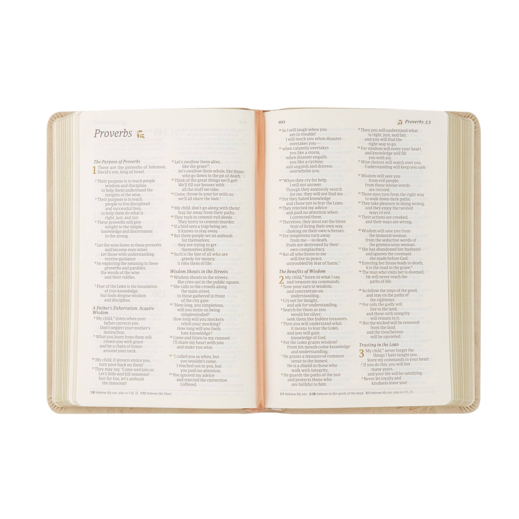 Hosanna Revival – wholesale Religion book – NLT Compact Bible: Sonora Theme4
