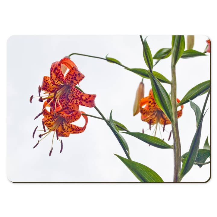 Gregory Dennis Design - Wholesale Placemat - 6 Floral Placemats - Lilium1