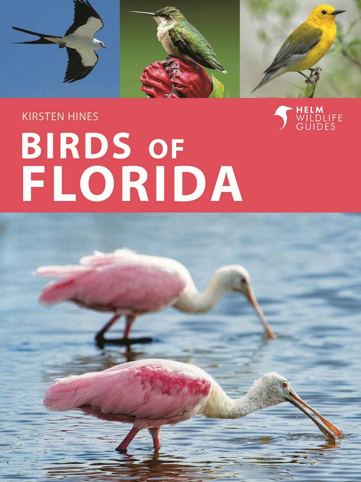 Birds of Florida for wholesale by Macmillan Publishers