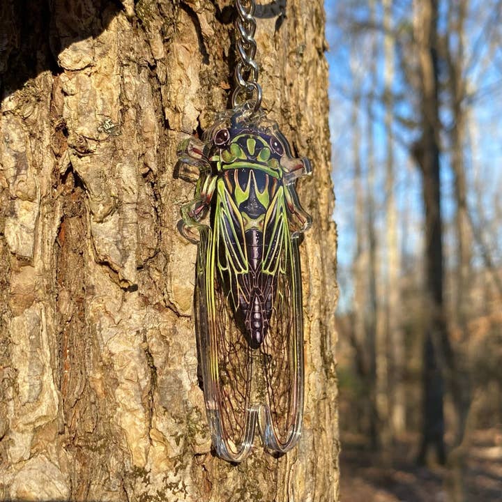 Allison Stoiser Art - Wholesale Keychain - Unisex - Linne's Cicada Double-Sided Acrylic Keychain2