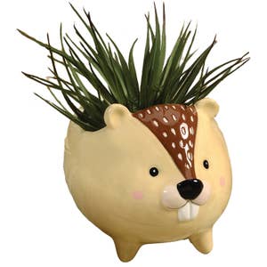 Purchase Wholesale plant animals. Free Returns & Net 60 Terms on Purchase Wholesale plant animals. Free Returns & Net 60 Terms on