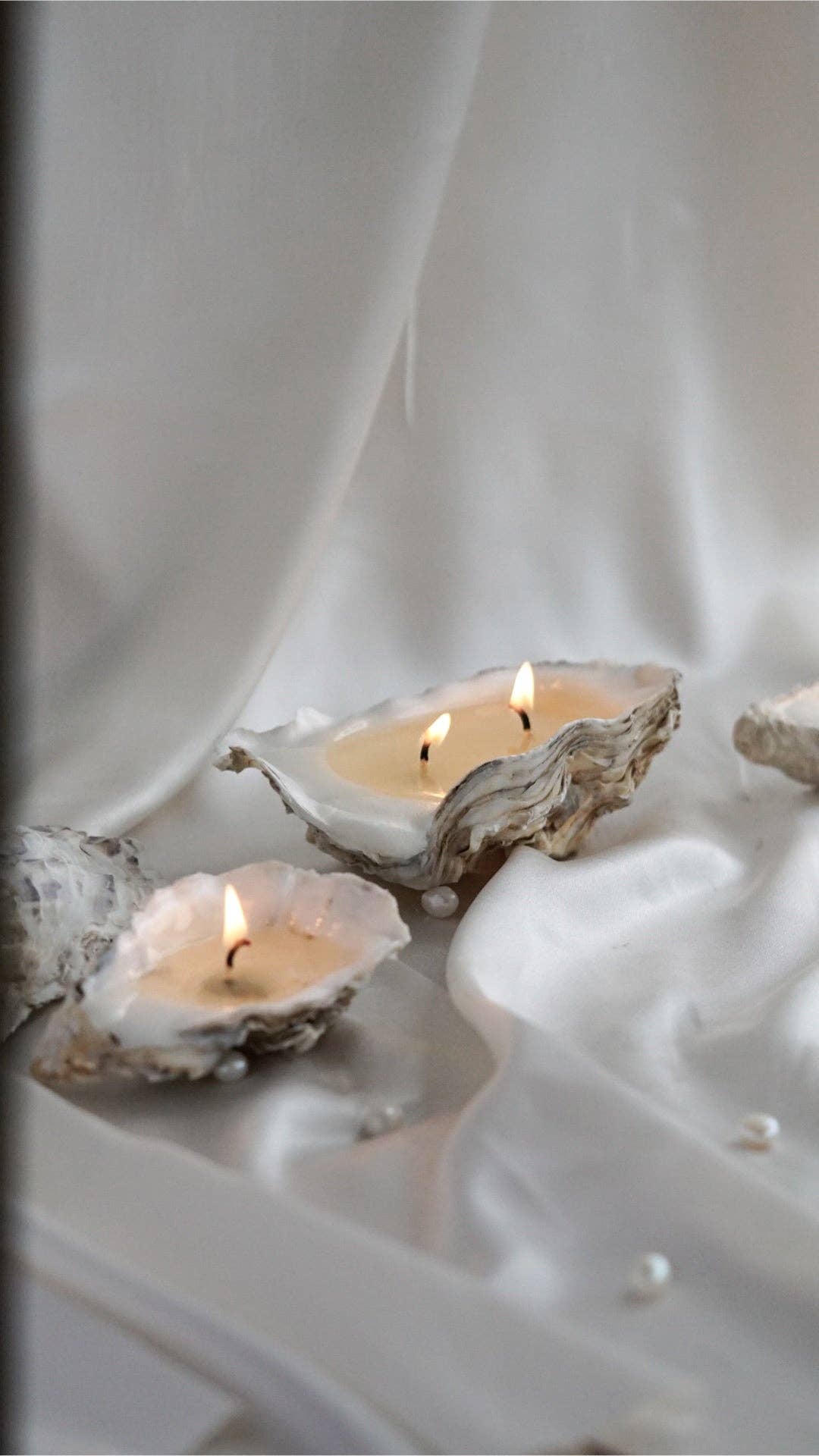 Candle Copenhagen - Wholesale Tapered Candle/Candlestick - Oyster Shell Candle - 1 Wick1
