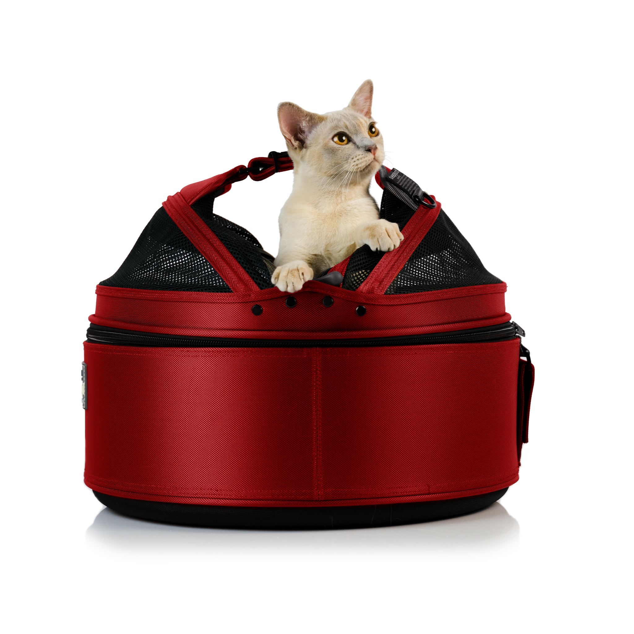 Sleepypod – wholesale Transportbur – Katt och hund – Sleepypod mobil husdjursbädd8
