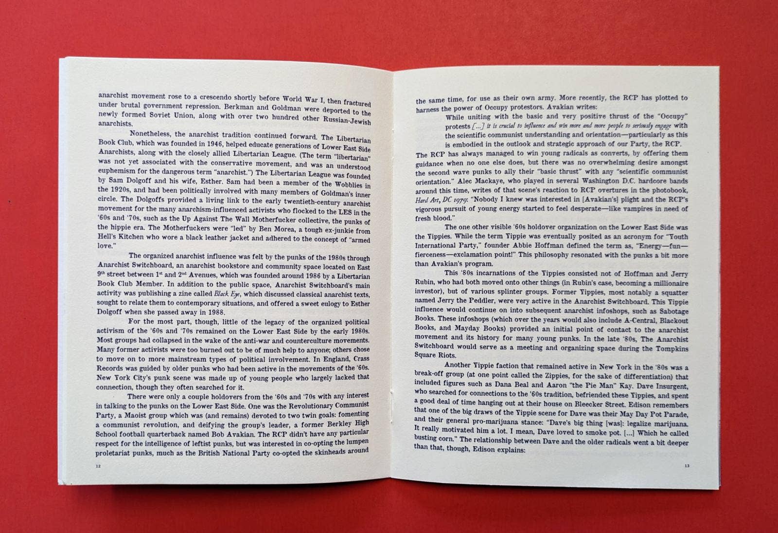 Microcosm Publishing & Distribution - Wholesale History & Geography Book - Punk in NYC’s Lower East Side 1981-1991 (Zine)2