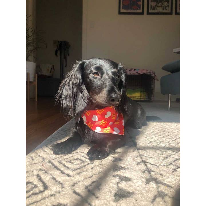 PawsAbilities - Wholesale Pet Bandana - Dog - KC Heart Dog Bandana