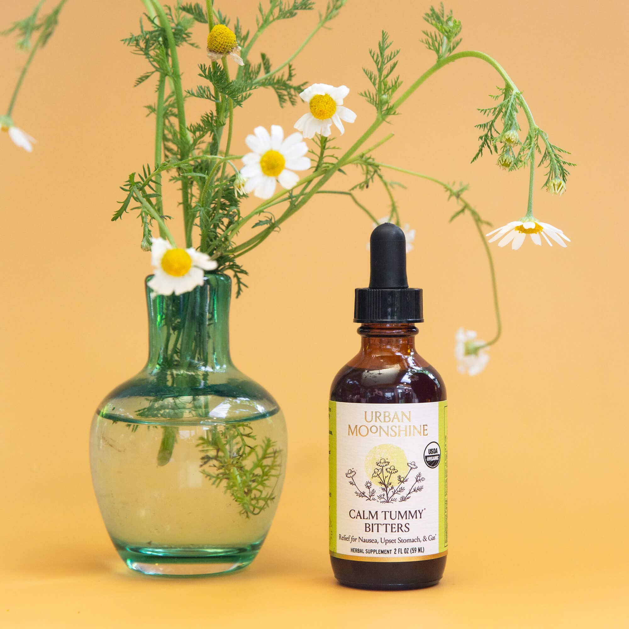 Urban Moonshine - Wholesale Oral Supplement/Vitamin - Calm Tummy Bitters7