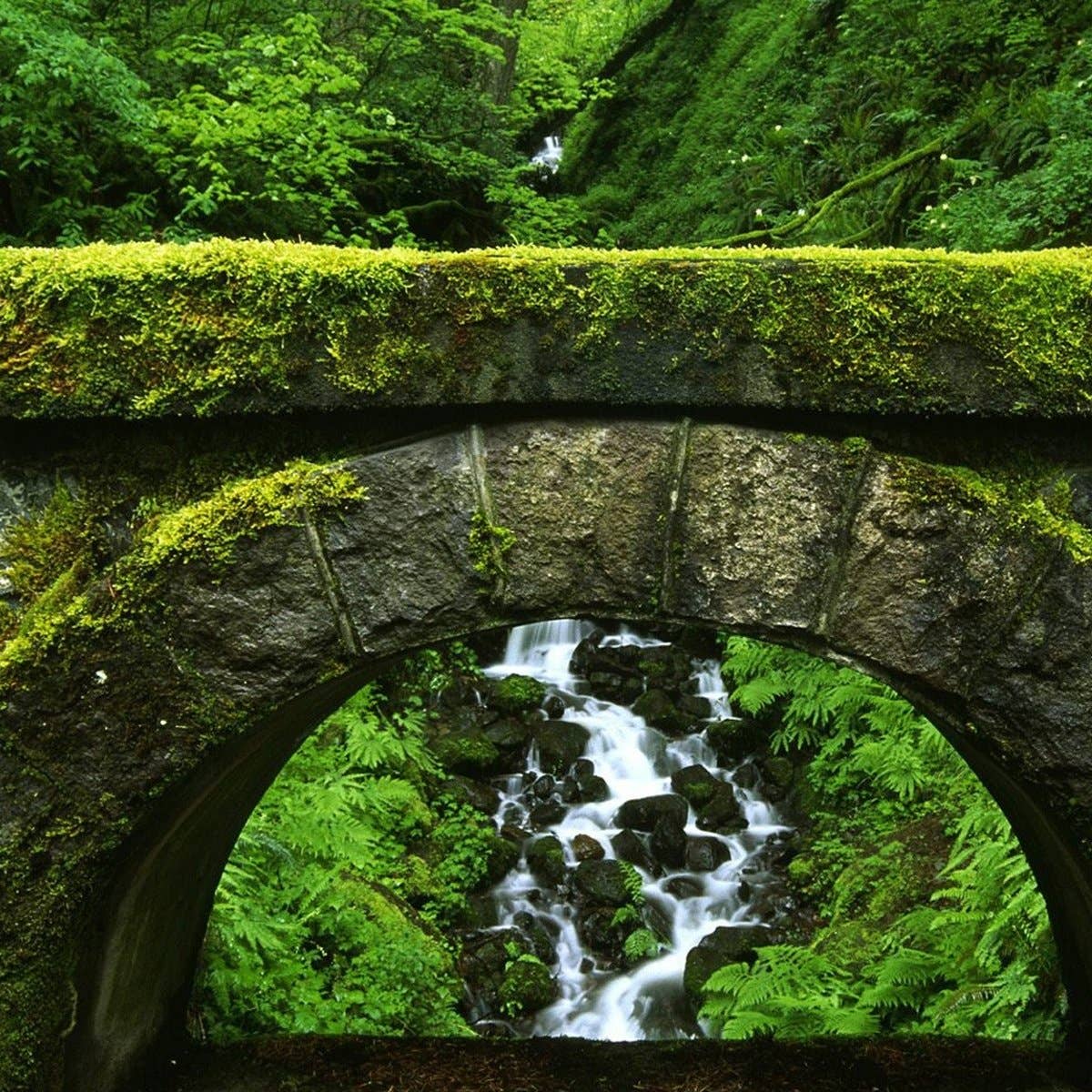 Cantrip Candles - Wholesale Jar/Filled Candle - Stonemoss Chapel 16oz Candle2