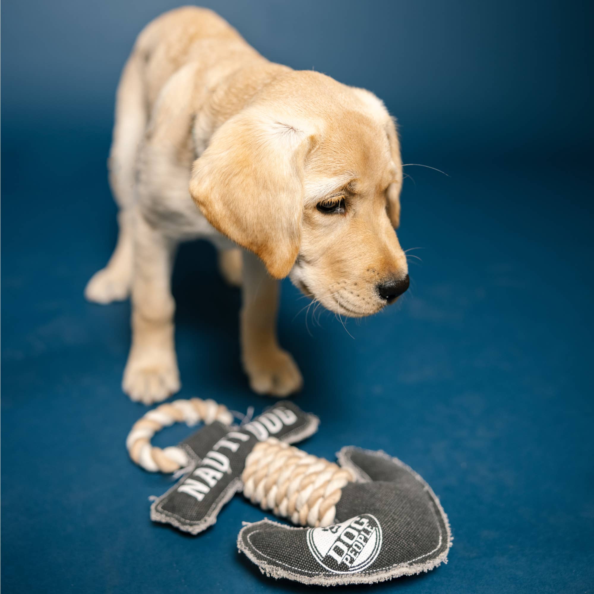 Pavilion - Wholesale Touwspeeltje - Hond - Nauti Dog - 30 cm canvas hondenknuffel met touw2