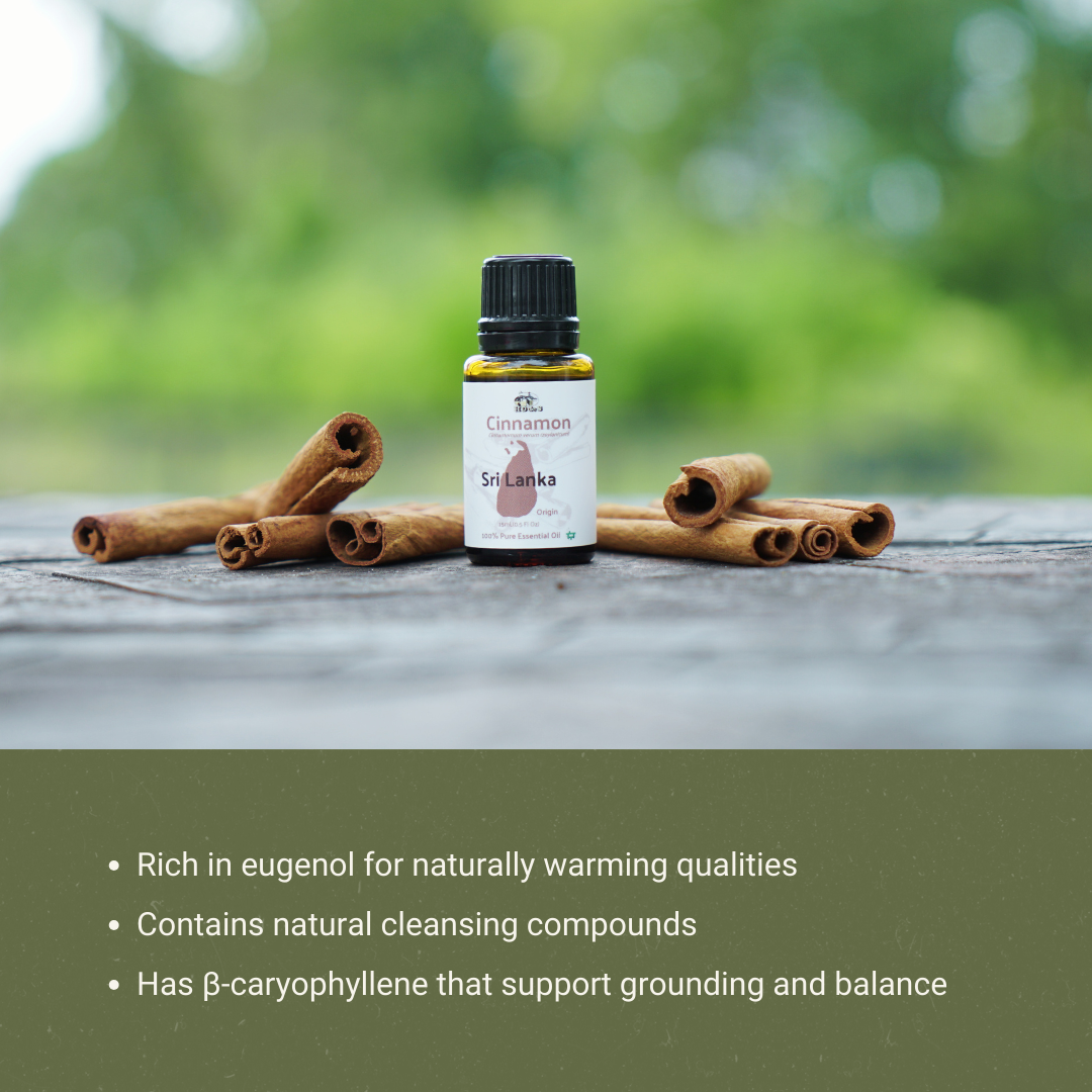 Nature Packaged – wholesale Eterisk olja – Kanel eterisk olja - 100% ren - Gård-Direct Sourcing5