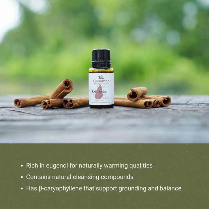Nature Packaged – wholesale Eterisk olja – Kanel eterisk olja - 100% ren - Gård-Direct Sourcing5