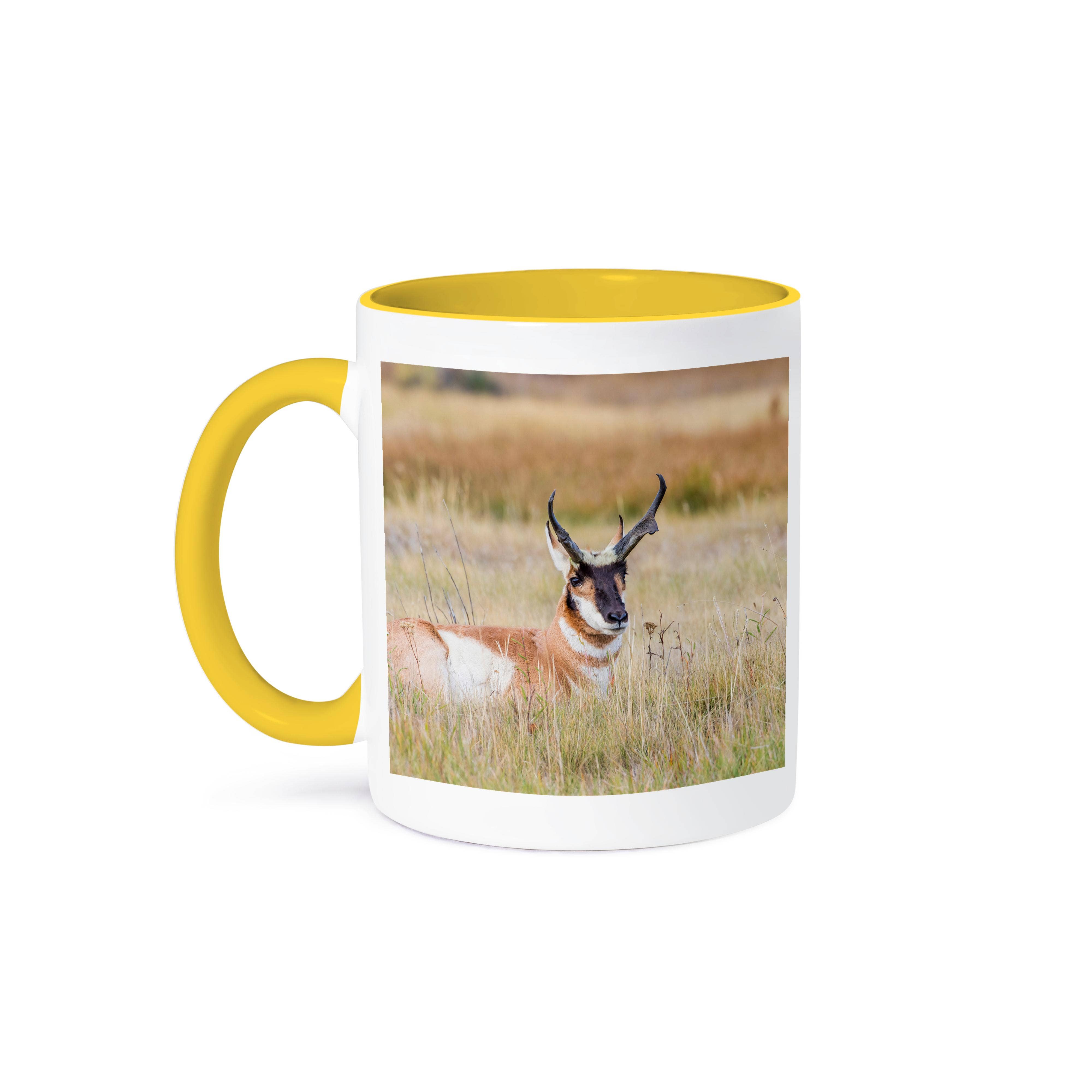 3dRose – Caneca por atacado – 3dRose, Wyoming, Condado de Sublette, antílope Pronghorn macho deitado na relva., Caneca0