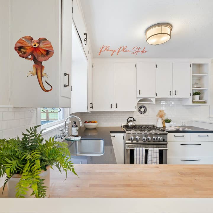 Plump Plum Studio - Wholesale Sticker - Frill-neck Lizard decal, Australian reptile sticker, lizard6