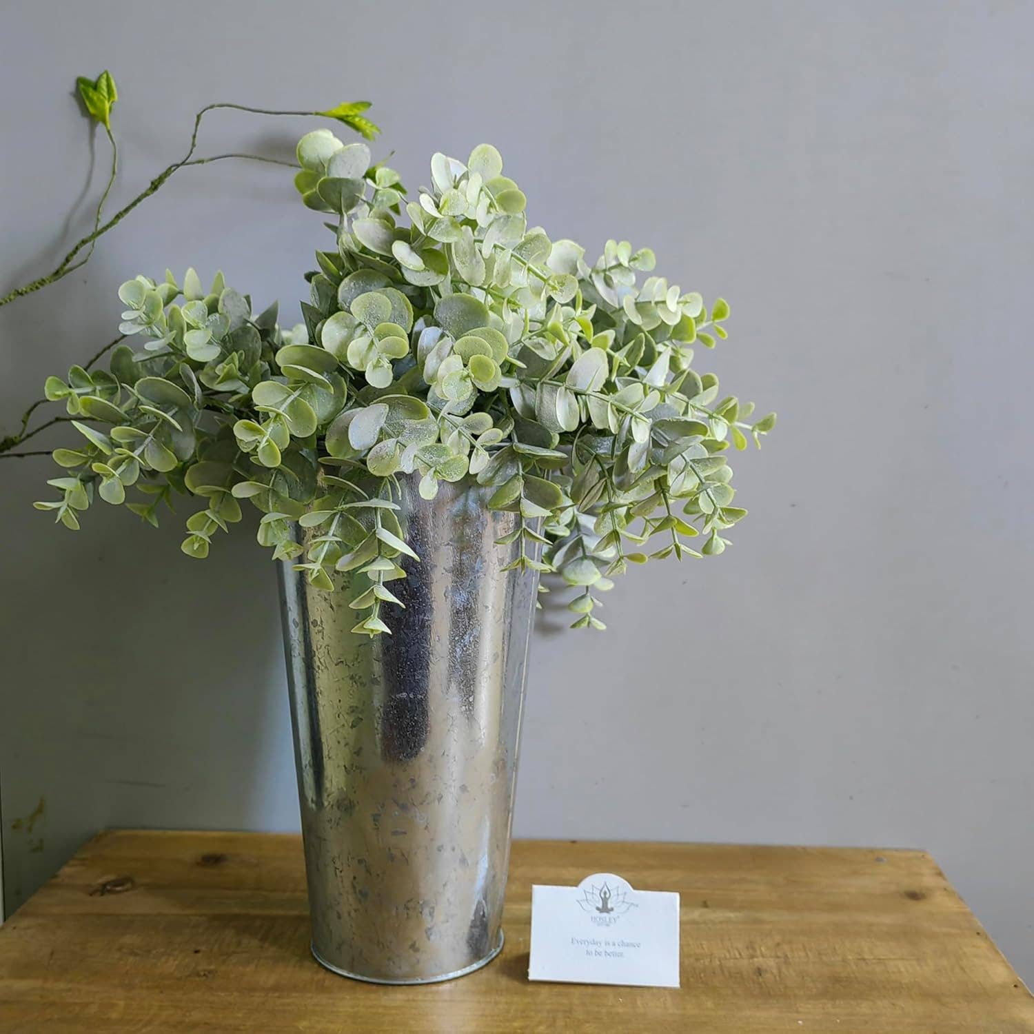 Hosley - Vente Vases - SEAU EN FER Hosley® 9 PO H - 6 ensembles5